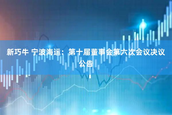 新巧牛 宁波海运：第十届董事会第六次会议决议公告