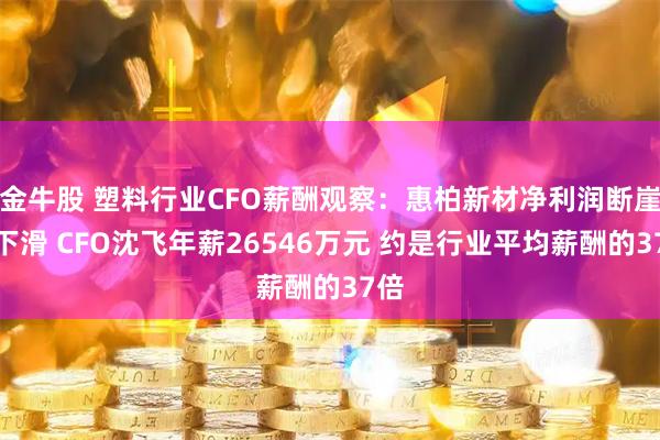 金牛股 塑料行业CFO薪酬观察：惠柏新材净利润断崖式下滑 CFO沈飞年薪26546万元 约是行业平均薪酬的37倍