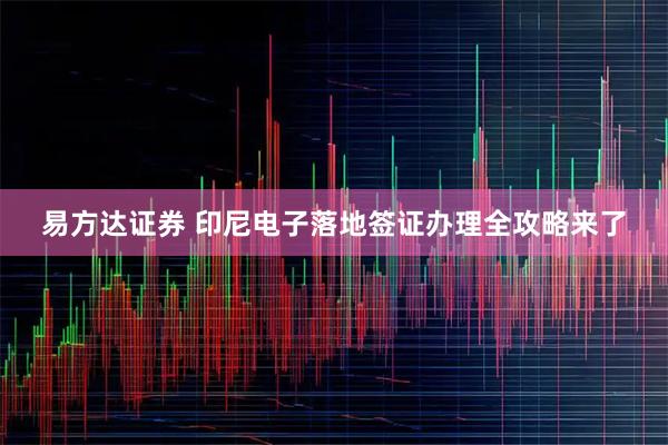 易方达证券 印尼电子落地签证办理全攻略来了
